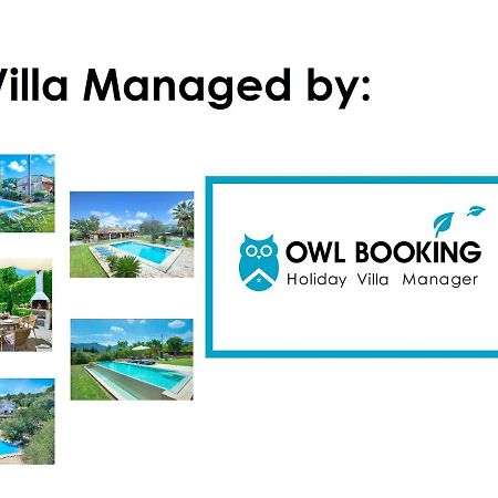 Owl Booking Villa Coloma - Luxury Retreat With Huge Pool Поланко Экстерьер фото